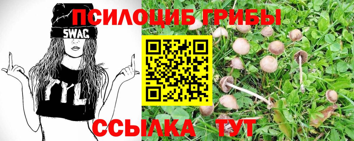 Псилоцибиновые грибы MAGIC MUSHROOMS  Вход с VPN  Арзамас  Псилоцибиновые грибы мицелий 