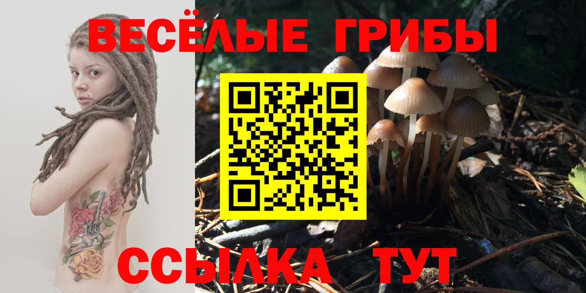 Псилоцибиновые грибы GOLDEN TEACHER Арзамас